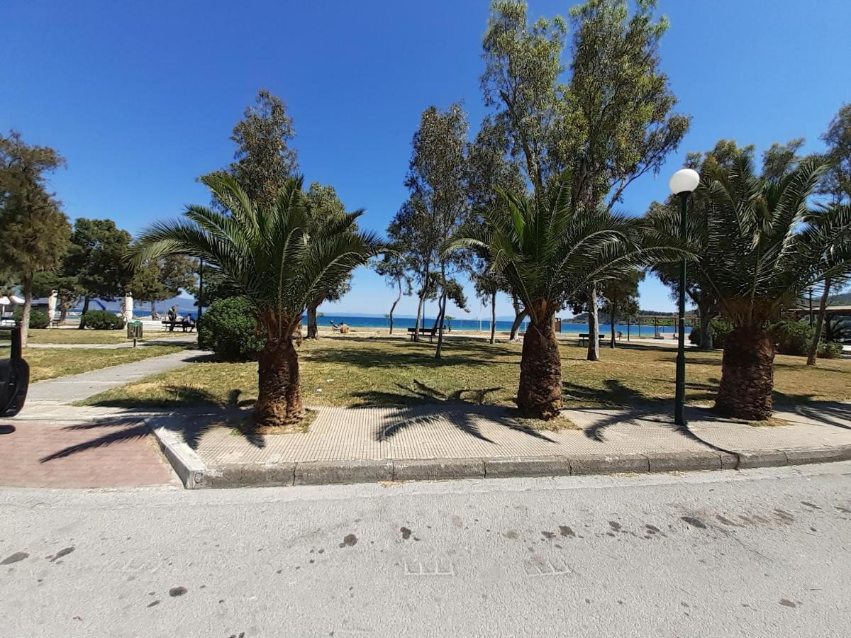 Villa Malena Alykes Beach Volos Exteriér fotografie